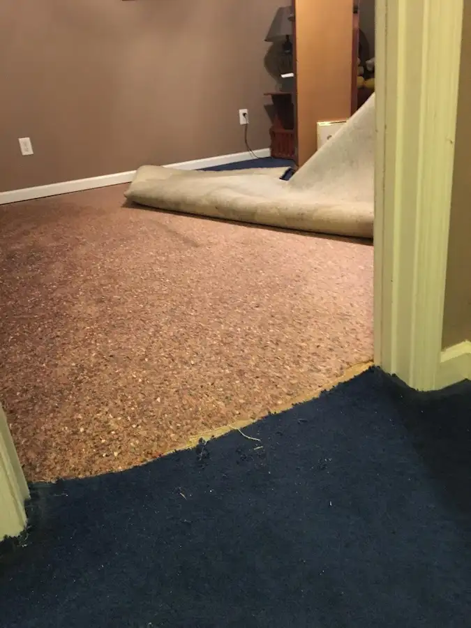 Carpet pad removal revealing water damage during Water Mitigation Services in Loxley