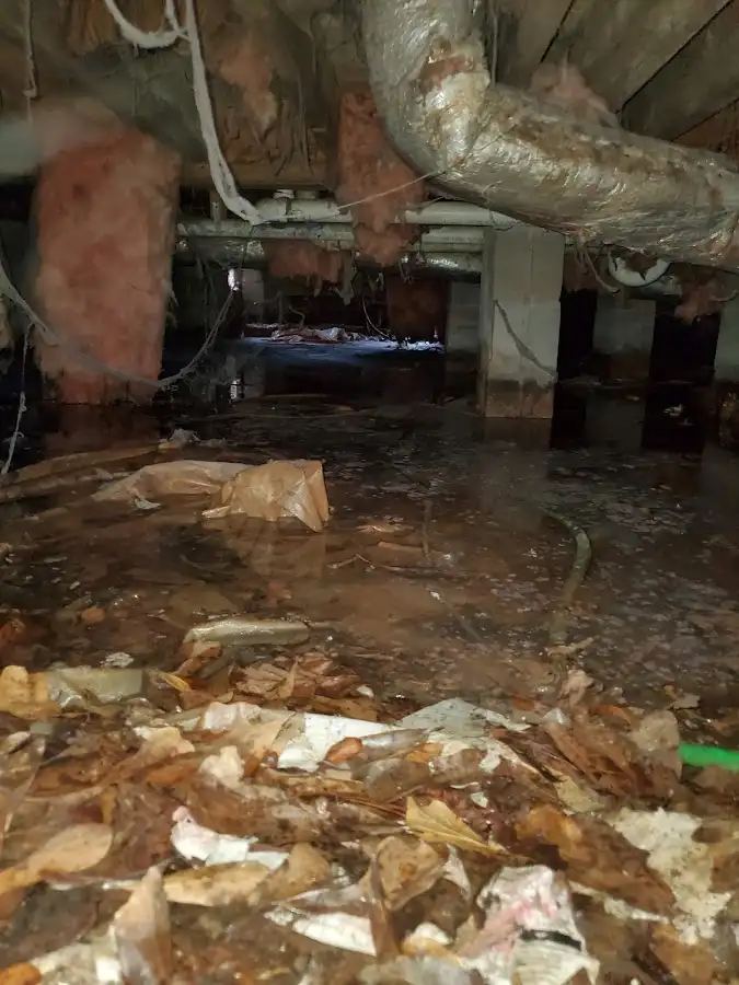 Crawl space flood assessment for Leak Detection & Repair in Loxley
