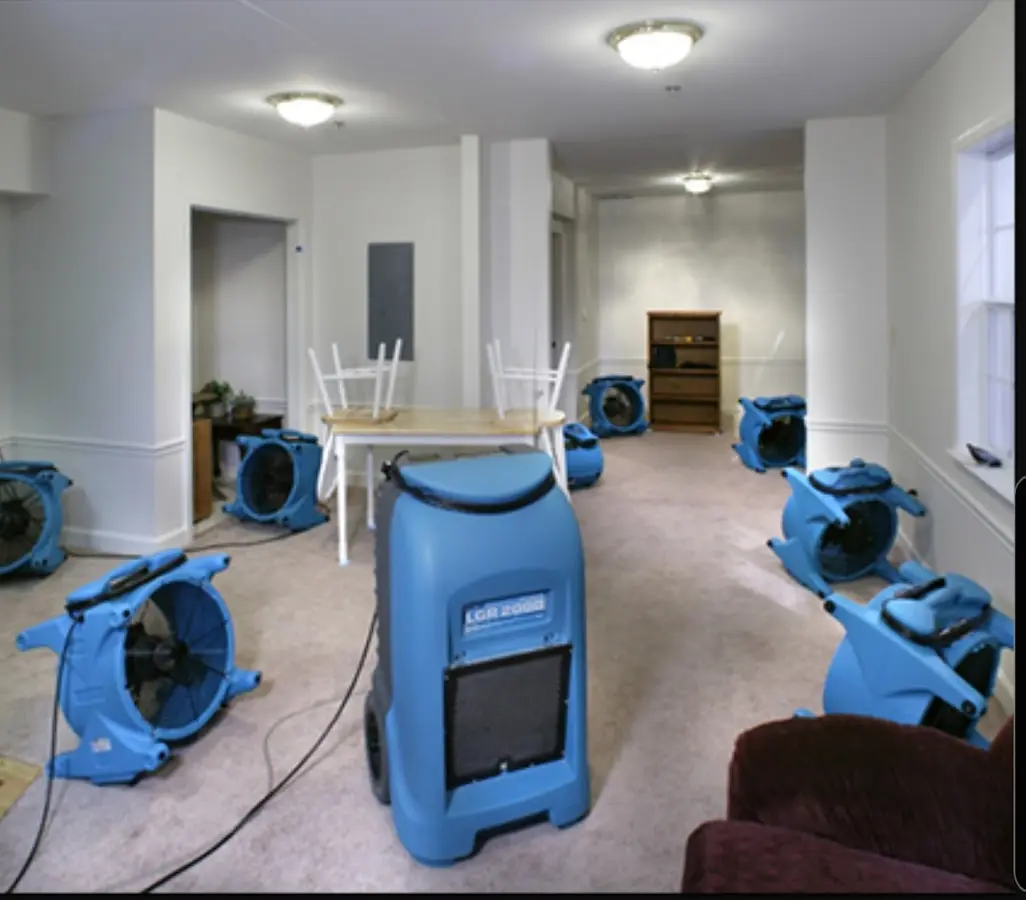 Air movers and dehumidifier setup for Water Extraction & Removal in Loxley