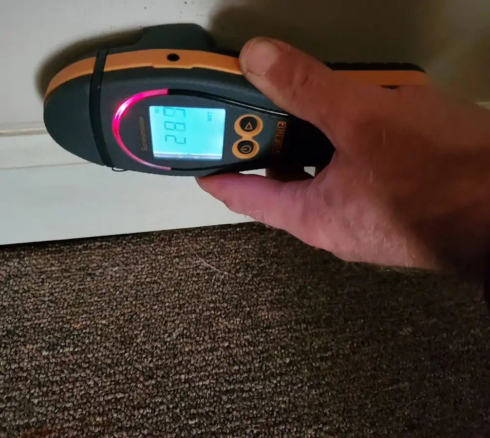 Moisture detection at baseboard during Sewage Cleanup & Sanitation in Loxley